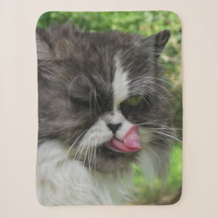 Katzen, Sherpa-Decken, Handwerk, Urlaub, elegant Sherpadecke