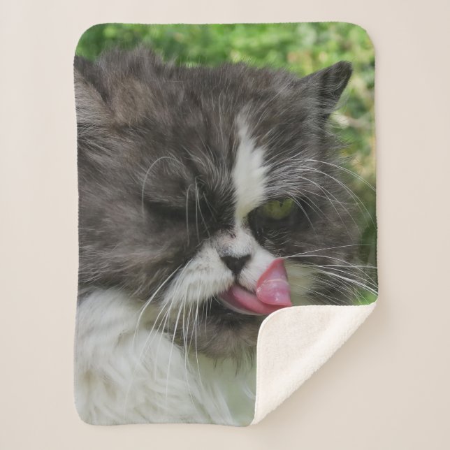 Katzen, Sherpa-Decken, Handwerk, Urlaub, elegant Sherpadecke (Vorderseite)