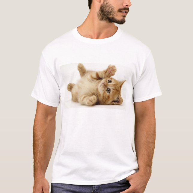 Katzen-Shirt T-Shirt (Vorderseite)