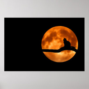 Katzen-Silhouette-Mondlichtplakat Poster