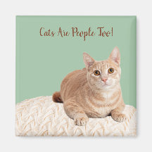 Katzen sind auch Leute