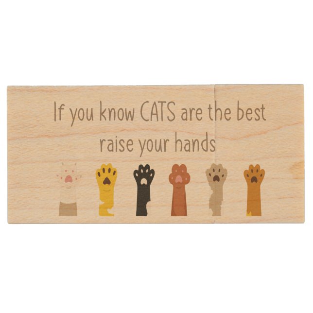 Katzen sind das beste Fun Zitat Kätzchen Tierkatze Holz USB Stick (Vorderseite)