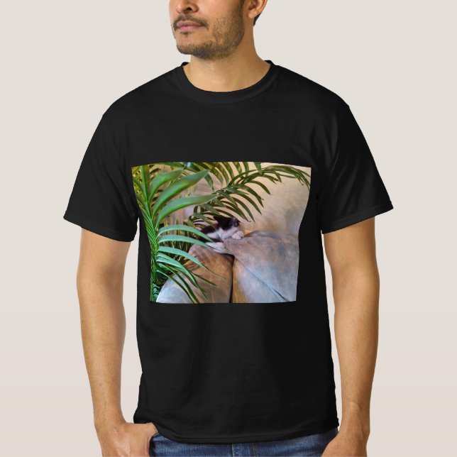 Katzen sind der beste T - Shirt (Vorderseite)
