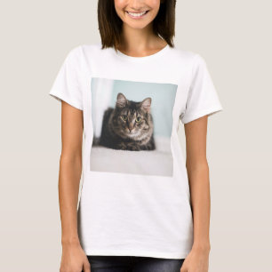 Katzen sind die besten 55 T-Shirt
