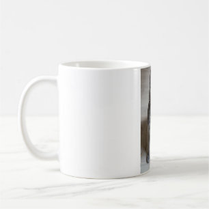 Katzen sind die besten 57 kaffeetasse