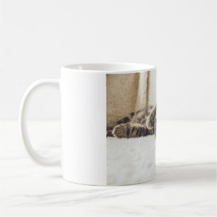 Katzen sind die besten 88 kaffeetasse