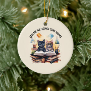 Katzen sind die ultimativen Lernbuddies Keramik Ornament