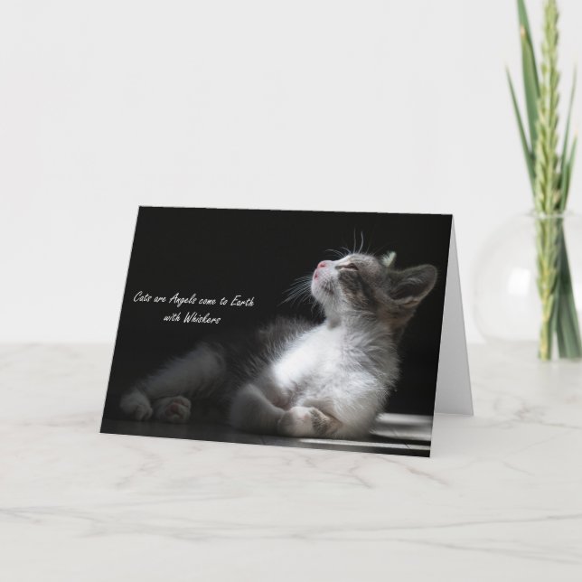 Katzen sind Engel kommen auf die Erde, notecard Ankündigung (Vorderseite)