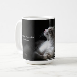 Katzen sind Engelchen Katzenkatze Tasse