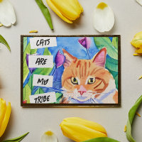 Katzen sind mein Stamm | Orangefarbene Katzen und