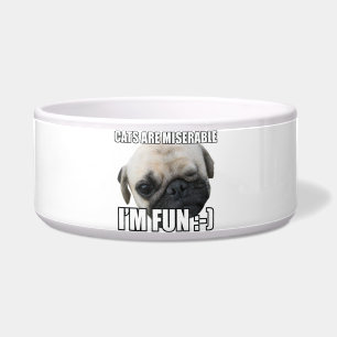 KATZEN SIND MISERBAR I M FUN :-) MEME NAPF