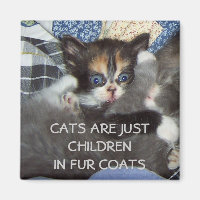 KATZEN SIND NUR KINDER IN VIER COATEN