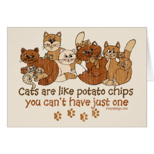 Katzen sind wie Kartoffelchips