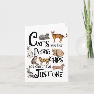 Katzen sind wie Kartoffelchips, die man nicht nur  Karte