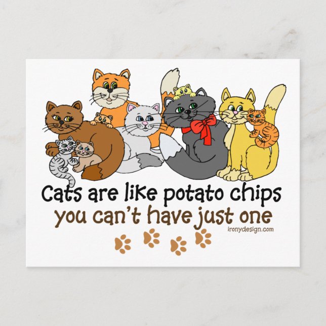 Katzen sind wie Kartoffelchips Postkarte (Vorderseite)