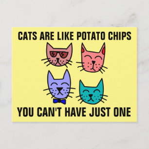 KATZEN SIND WIE KARTOFFELN, DIE MAN NICHT NUR EINE POSTKARTE