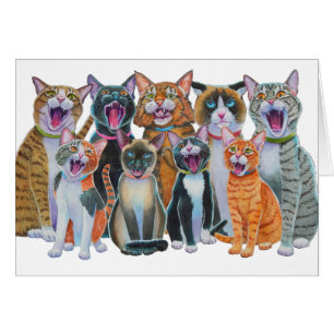 Katzen singen