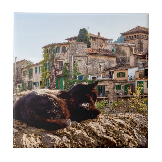 Katzen sonnen sich an einer Wand - Valldemossa, Ma Fliese (Vorderseite)
