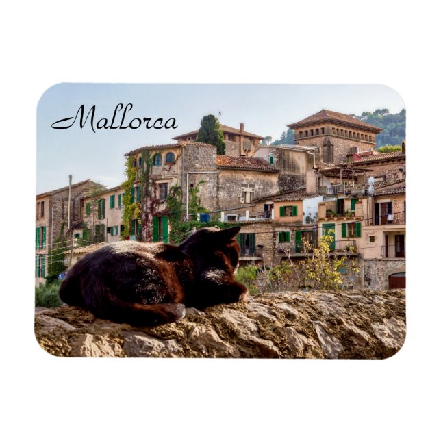 Katzen sonnen sich an einer Wand - Valldemossa, Ma Magnet (Horizontal)