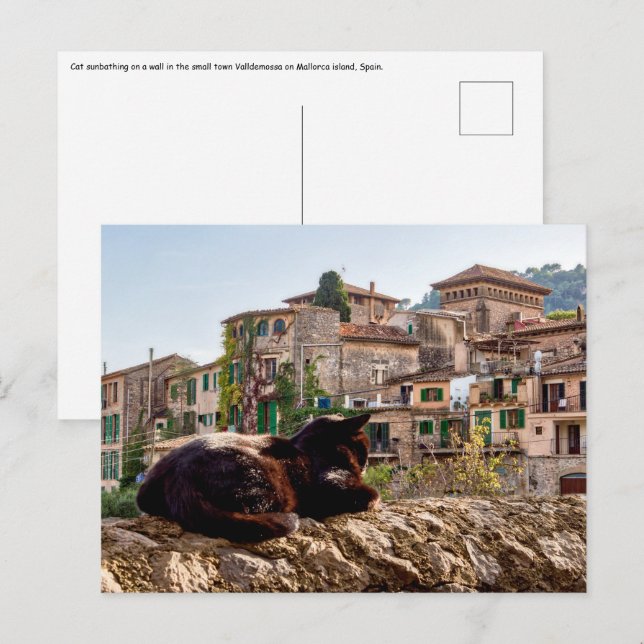Katzen sonnen sich an einer Wand - Valldemossa, Ma Postkarte (Vorne/Hinten)