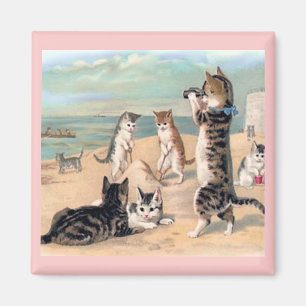 Katzen-Spaß am Strand Magnet