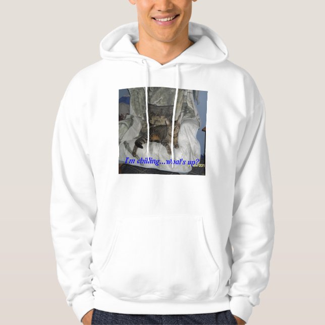 Katzen, Spaß Hoodie (Vorderseite)