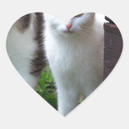 Katzen spielen Herz-Aufkleber