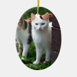 Katzen spielen keramik ornament