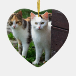 Katzen spielen keramikornament