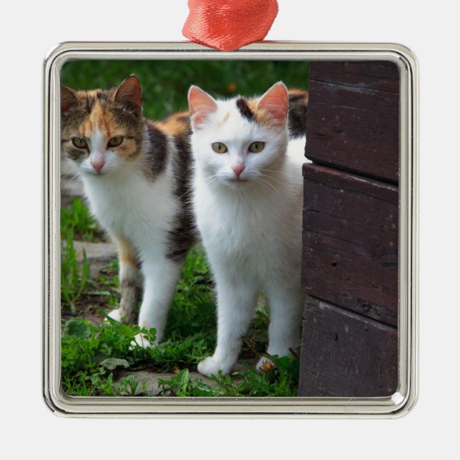 Katzen spielen ornament aus metall (Vorne)