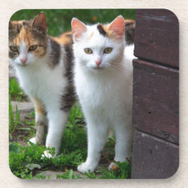 Katzen spielen untersetzer