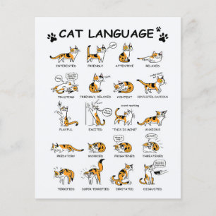 Katzen Sprache, Lustige Katze Kätzchen, Liebe Katz Flyer