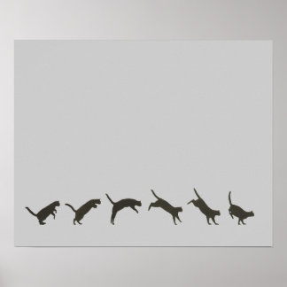 Katzen springen poster