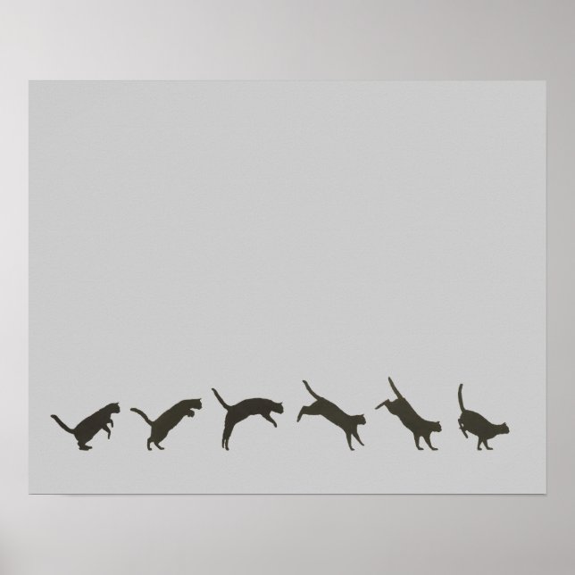 Katzen springen poster (Vorne)