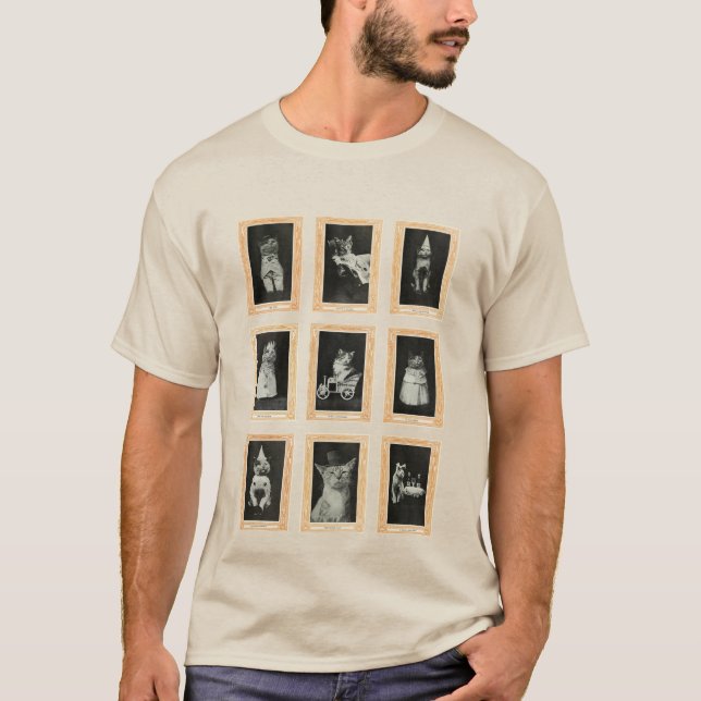 Katzen T-Shirt (Vorderseite)