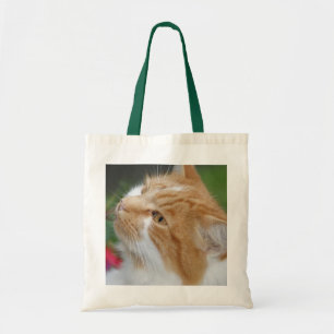 Katzen-Taschen-Tasche Tragetasche