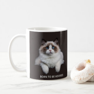 Katzen-Tasse - Geboren um angebetet zu werden Kaffeetasse
