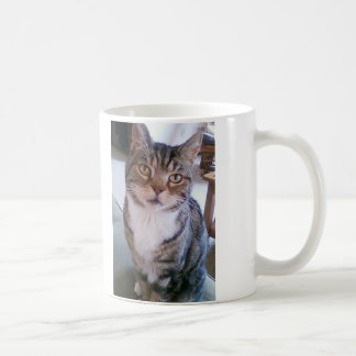 Katzen-Tasse Kaffeetasse