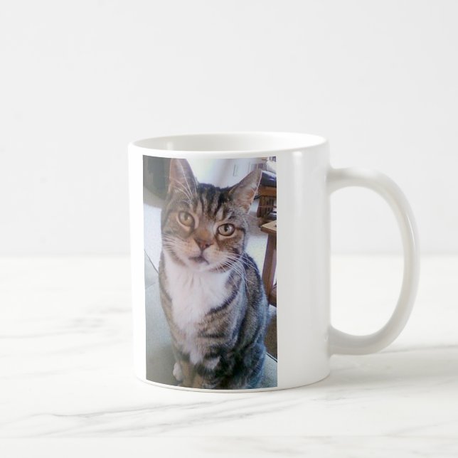 Katzen-Tasse Kaffeetasse (Rechts)