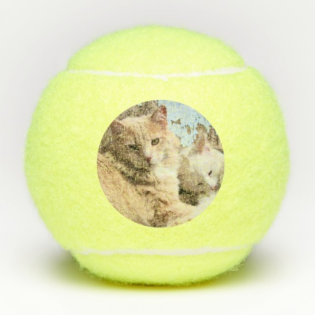 Katzen Tennisbälle (Vorderseite)
