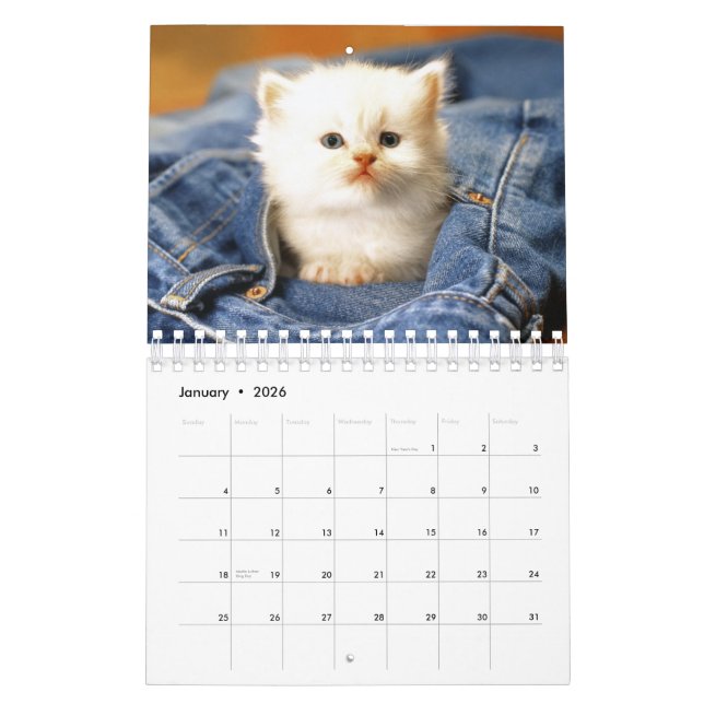 Katzen tragen 2012 ein kalender (Jan 2026)