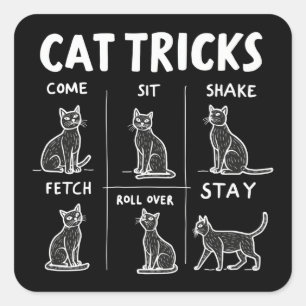 Katzen-Tricks: Perfekt lustige Katzenspaß Quadratischer Aufkleber