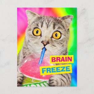 Katzen trinken Slushie Einladungspostkarte