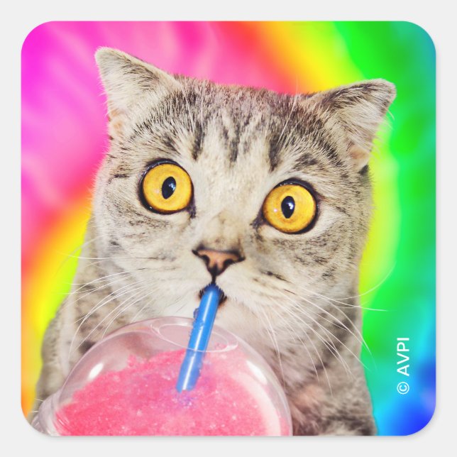 Katzen trinken Slushie Quadratischer Aufkleber (Vorderseite)
