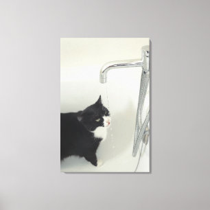Katzen-Trinkwasser-Bratenfett von angestochene Leinwanddruck