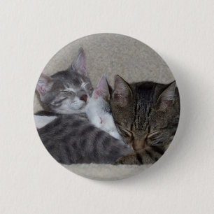 Katzen-Trio-Knopf Button
