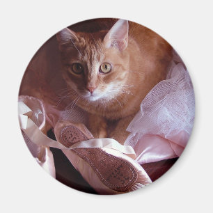 Katzen- und Ballett-Hausschuhe Magnet