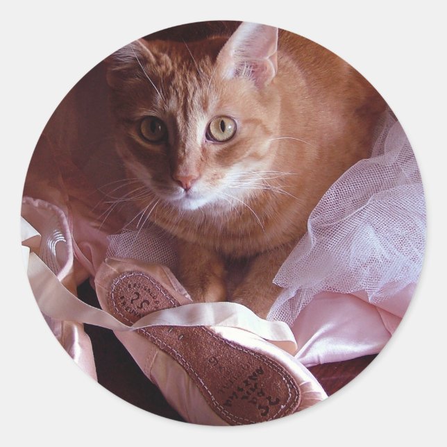 Katzen- und Ballett-Hausschuhe Runder Aufkleber (Vorderseite)