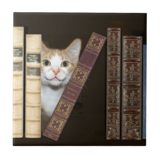 Katzen und Bücher Fliese