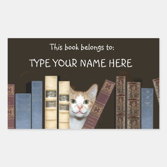 Katzen und Bücher Rechteckiger Aufkleber (Vorderseite)